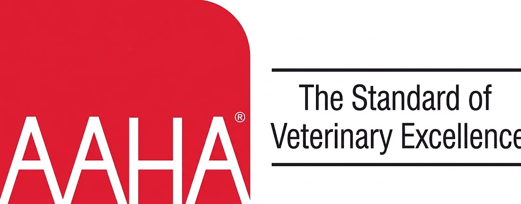 AAHA Logo